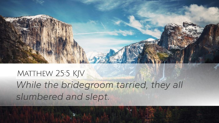 Matthew 25:5 KJV Bible Verse Image