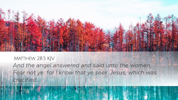 Matthew 28:5 KJV Bible Verse Image