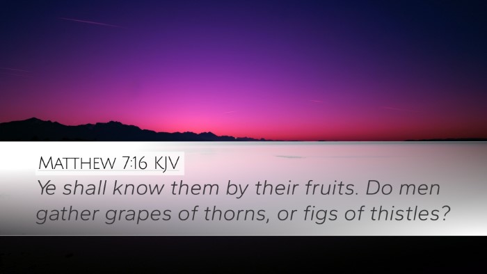 Matthew 7:16 KJV Bible Verse Image