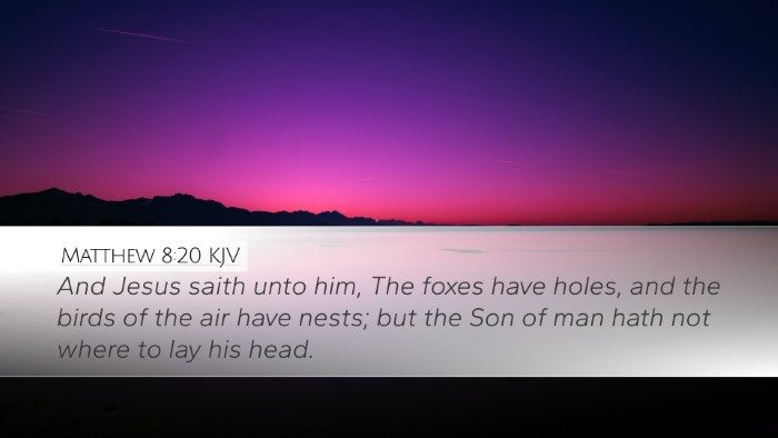 Matthew 8:20 KJV Bible Verse Image