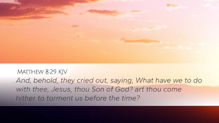 Matthew 8:29 KJV Bible Verse Image