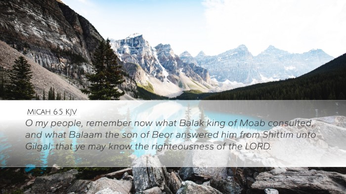 Micah 6:5 KJV Bible Verse Image