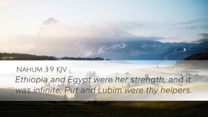 Nahum 3:9 KJV Bible Verse Image