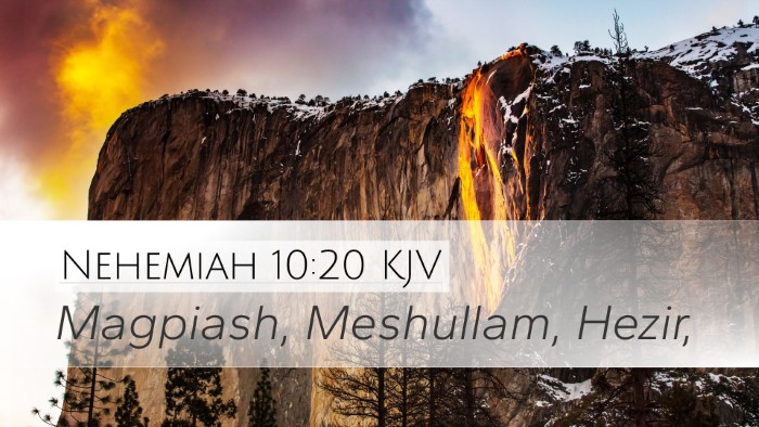 Nehemiah 10:20 KJV Bible Verse Image