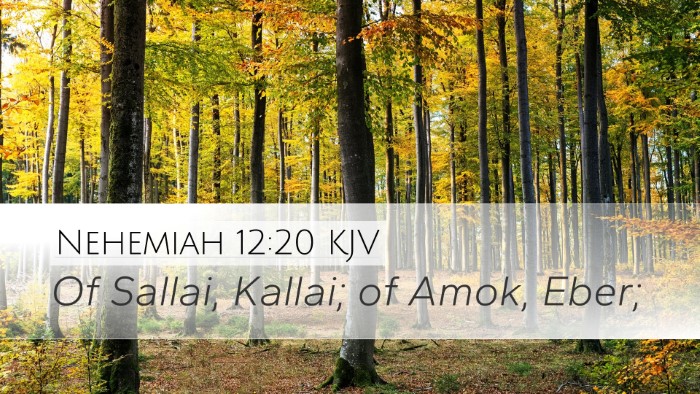 Nehemiah 12:20 KJV Desktop Wallpaper - Of Sallai, Kallai; of Amok, - Desktop Bible Verse Wallpaper