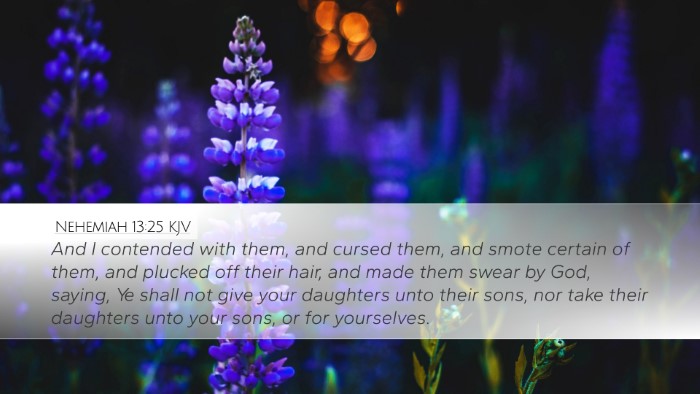 Nehemiah 13:25 KJV Bible Verse Image