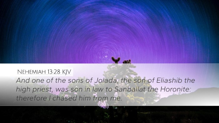 Nehemiah 13:28 KJV Bible Verse Image