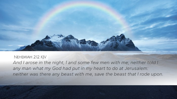 Nehemiah 2:12 KJV Bible Verse Image