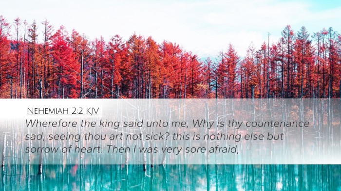 Nehemiah 2:2 KJV Bible Verse Image