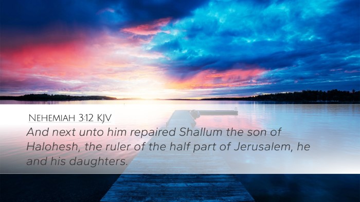 Nehemiah 3:12 KJV Bible Verse Image