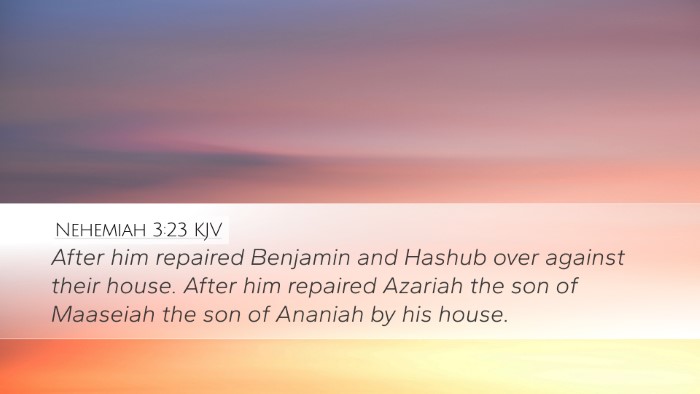 Nehemiah 3:23 KJV Bible Verse Image