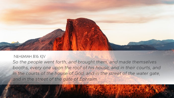 Nehemiah 8:16 KJV Bible Verse Image