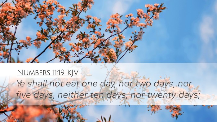 Numbers 11:19 KJV Desktop Wallpaper - Ye shall not eat one day, nor two days, nor five - Desktop Bible Verse Wallpaper