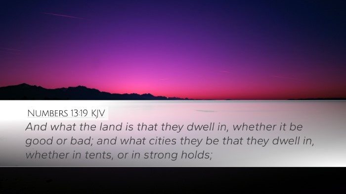 Numbers 13:19 KJV Desktop Wallpaper - And what the land is that they dwell in, whether - Desktop Bible Verse Wallpaper