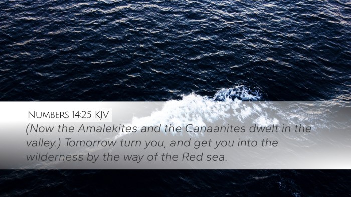 Numbers 14:25 KJV Bible Verse Image