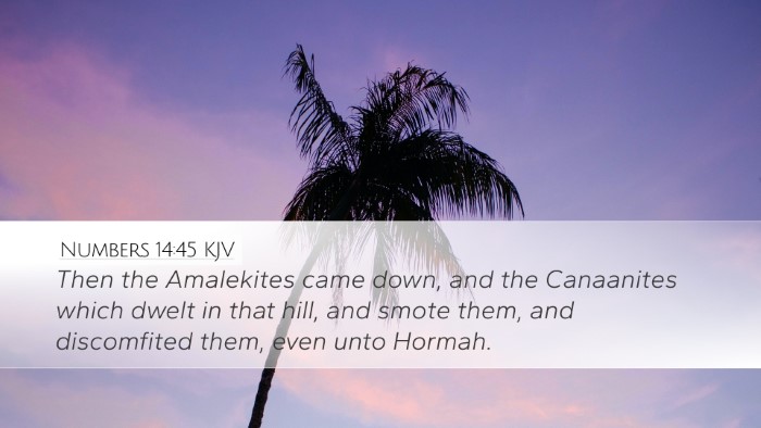 Numbers 14:45 KJV Bible Verse Image