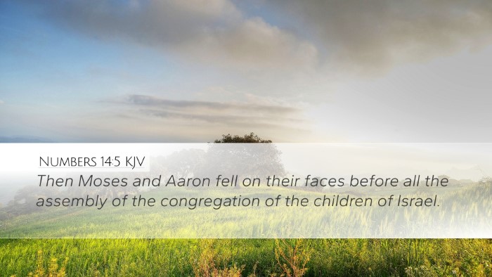 Numbers 14:5 KJV Bible Verse Image