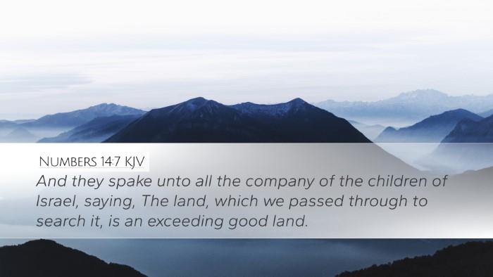 Numbers 14:7 KJV Desktop Wallpaper - And they spake unto all the company of the - Desktop Bible Verse Wallpaper