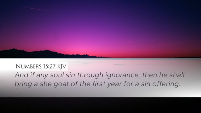 Numbers 15:27 KJV Desktop Wallpaper - And if any soul sin through ignorance, then he - Desktop Bible Verse Wallpaper
