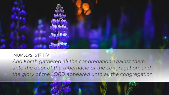 Numbers 16:19 KJV Bible Verse Image