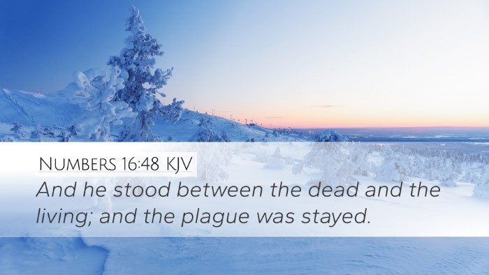 Numbers 16:48 KJV Bible Verse Image