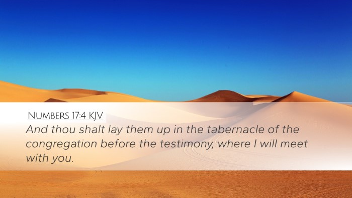 Numbers 17:4 KJV Desktop Wallpaper - And thou shalt lay them up in the tabernacle of - Desktop Bible Verse Wallpaper