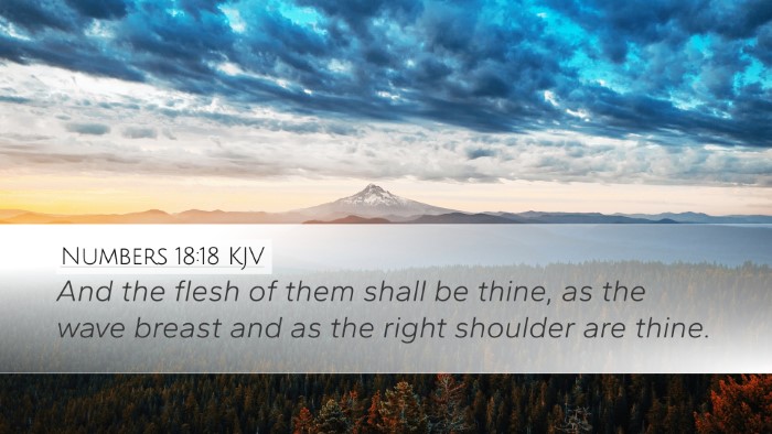 Numbers 18:18 KJV Bible Verse Image