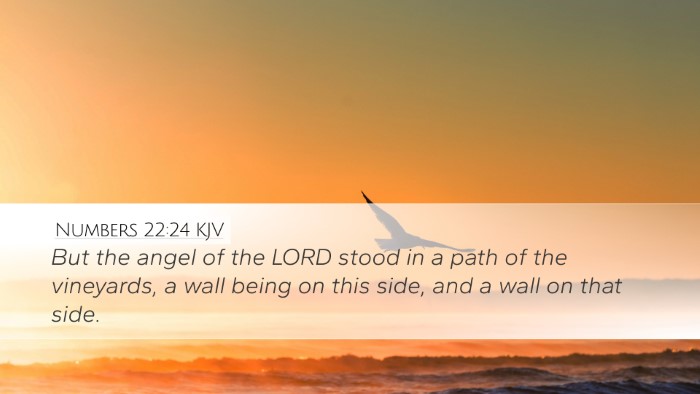 Numbers 22:24 KJV Desktop Wallpaper - But the angel of the LORD stood in a path of the - Desktop Bible Verse Wallpaper
