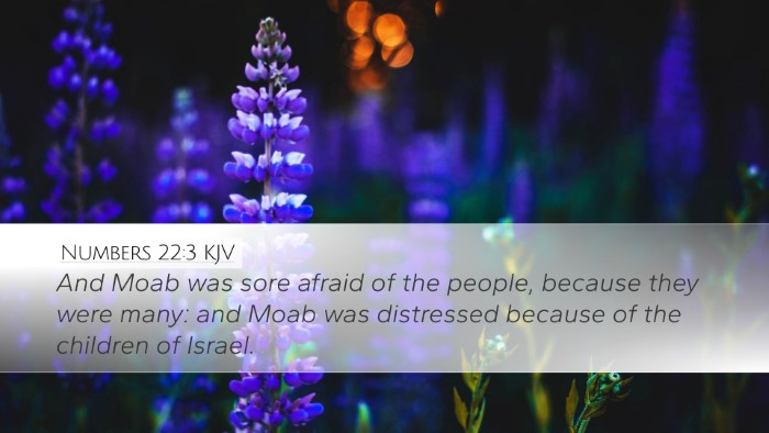 Numbers 22:3 KJV Bible Verse Image