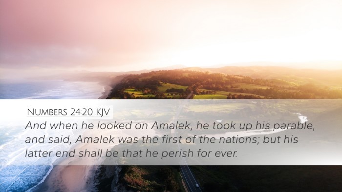 Numbers 24:20 KJV Bible Verse Image