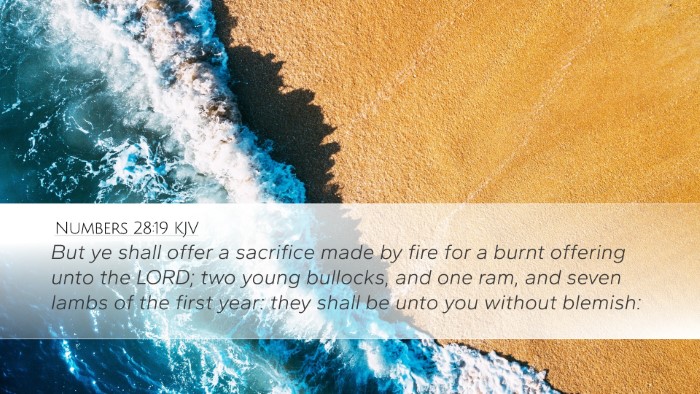 Numbers 28:19 KJV Bible Verse Image