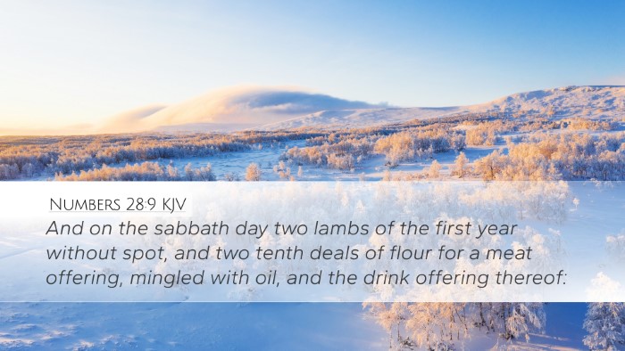 Numbers 28:9 KJV Bible Verse Image