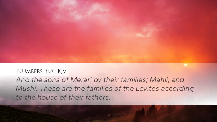 Numbers 3:20 KJV Bible Verse Image