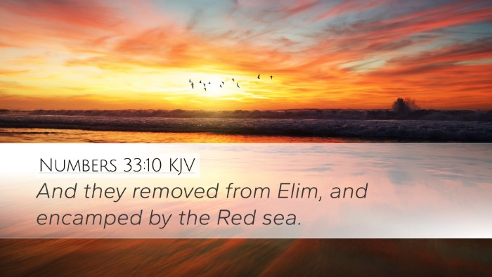 Numbers 33:10 KJV Desktop Wallpaper - And they removed from Elim, and encamped by the - Desktop Bible Verse Wallpaper