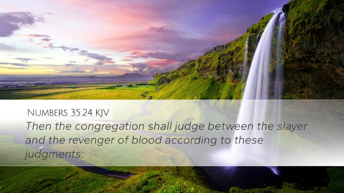 Numbers 35:24 KJV Bible Verse Image