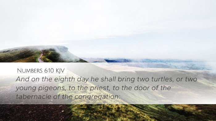 Numbers 6:10 KJV Bible Verse Image