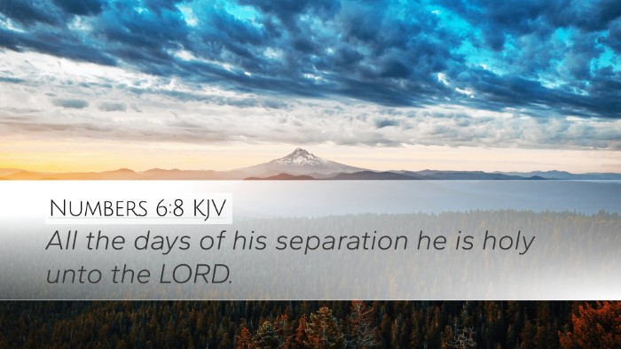 Numbers 6:8 KJV Bible Verse Image