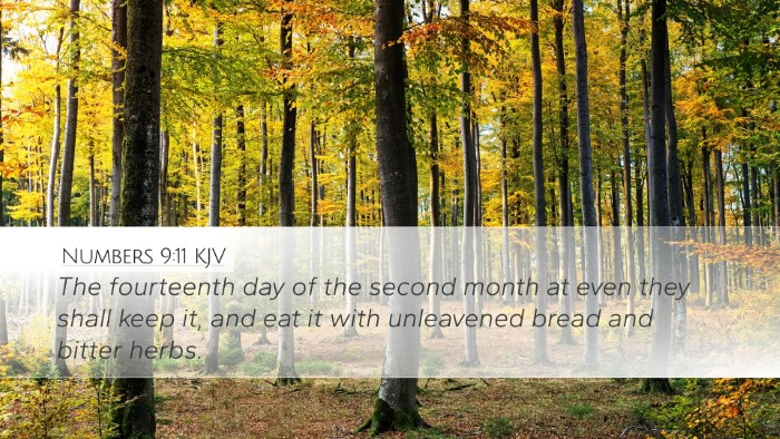 Numbers 9:11 KJV Bible Verse Image