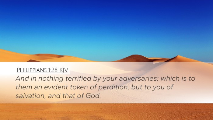 Philippians 1:28 KJV Bible Verse Image