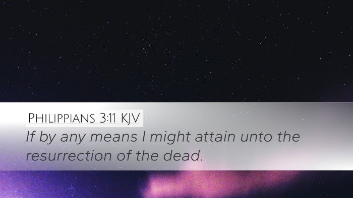 Philippians 3:11 KJV Desktop Wallpaper - If by any means I might attain unto the - Desktop Bible Verse Wallpaper