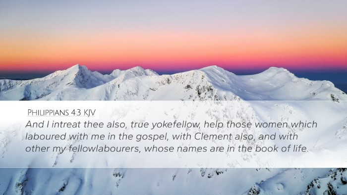 Philippians 4:3 KJV Bible Verse Image