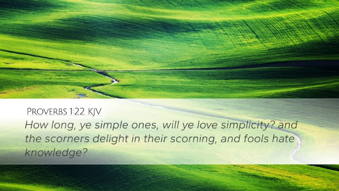 Proverbs 1:22 KJV Bible Verse Image