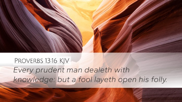 Proverbs 13:16 KJV Bible Verse Image