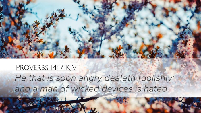 Proverbs 14:17 KJV Bible Verse Image