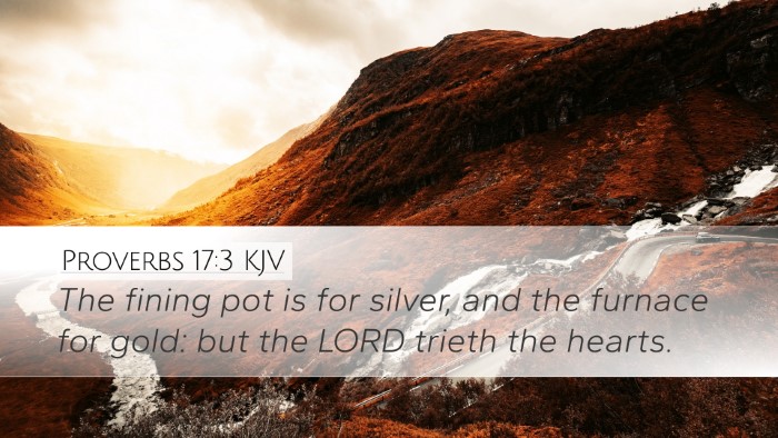 Proverbs 17:3 KJV Bible Verse Image