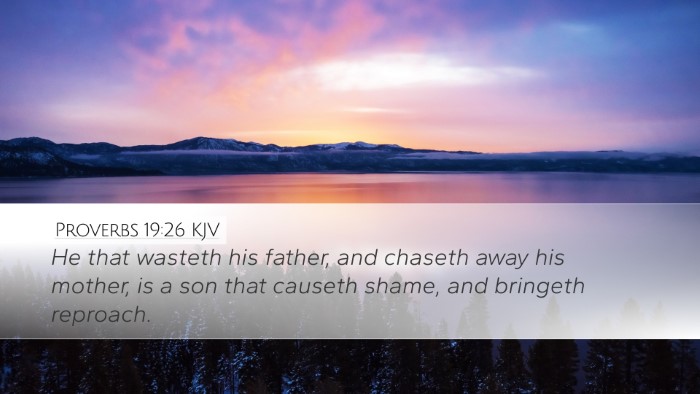 Proverbs 19:26 KJV Desktop Wallpaper - He that wasteth his father, and chaseth away his - Desktop Bible Verse Wallpaper