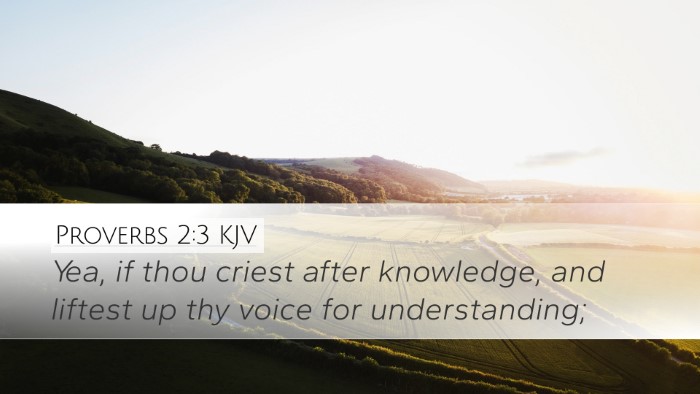 Proverbs 2:3 KJV Bible Verse Image
