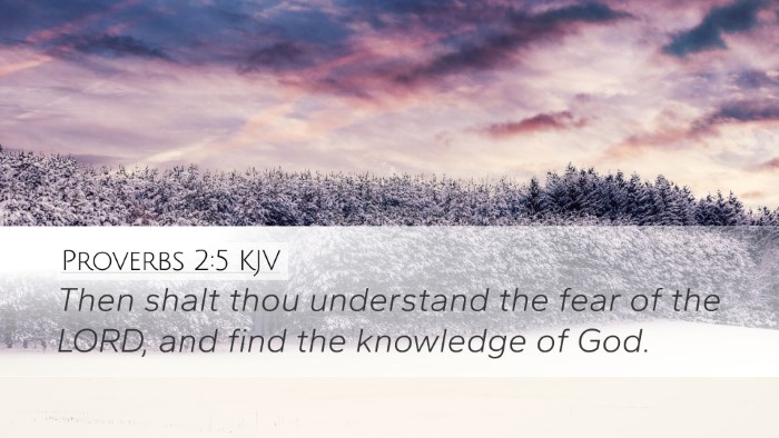 Proverbs 2:5 KJV Bible Verse Image