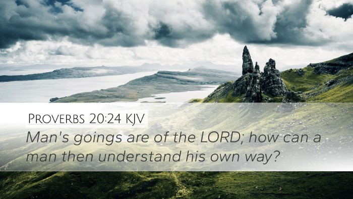 Proverbs 20:24 KJV Bible Verse Image