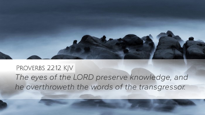 Proverbs 22:12 KJV Desktop Wallpaper - The eyes of the LORD preserve knowledge, and he - Desktop Bible Verse Wallpaper